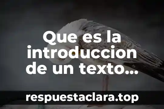 Que es la introduccion de un texto narrativo