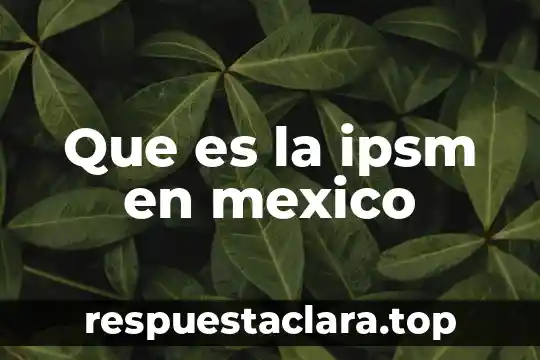 Que es el porgrama todos somos mexico 8 Que es la ipsm en mexico