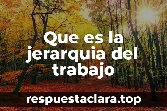 Que es la jerarquia del trabajo