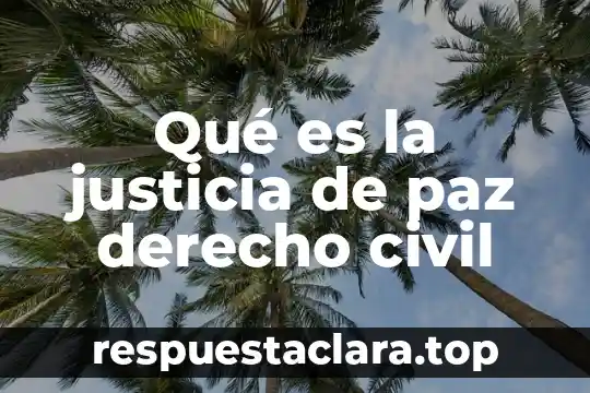 Qué es la justicia de paz derecho civil