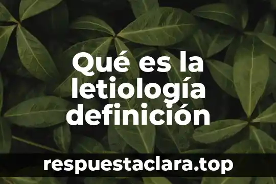 Qué es la letiología definición