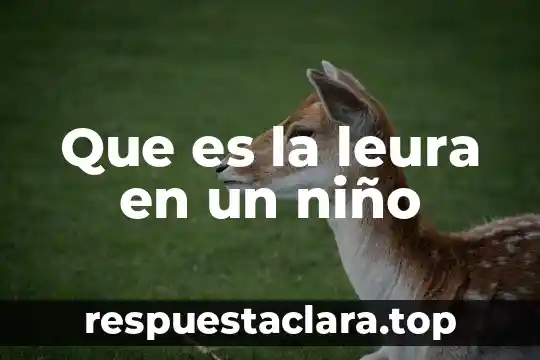 Para que es importante que el niño identifique su nombre 4 Que es la leura en un niño