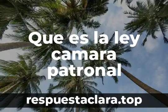 Que es la ley camara patronal