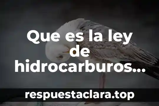 Ley de lavoisier que es 6 Que es la ley de hidrocarburos ecuador