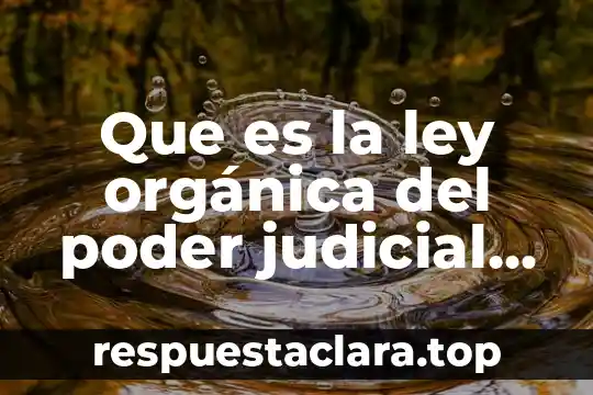 Que es el principio de igualdad ante la ley 7 Que es la ley orgánica del poder judicial federal