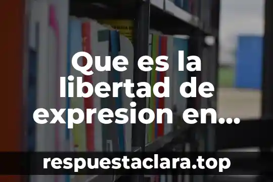 Que es la libertad de expresion en informativa