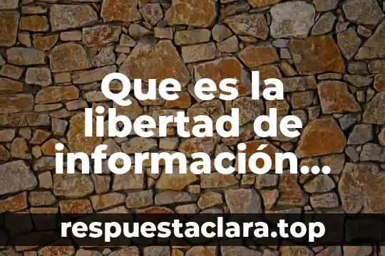 Que es un deber concepto 7 Que es la libertad de información definicion y concepto