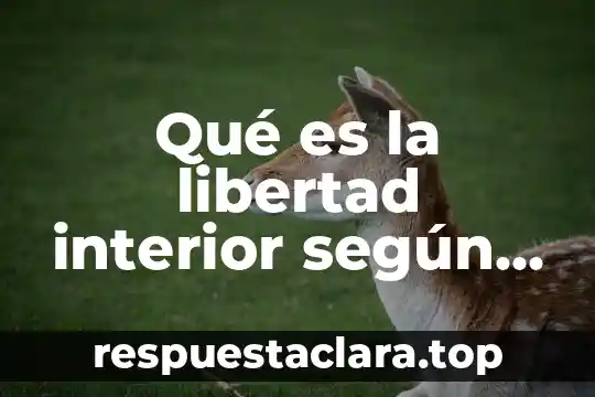 Que es el valor de la libertad para honores 4 Qué es la libertad interior según Viktor Frankl