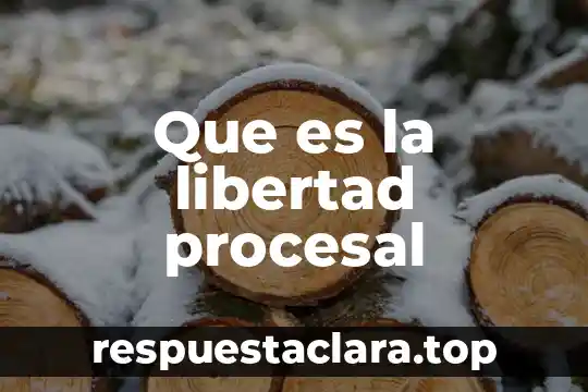 Que es el valor de la libertad para honores 8 Que es la libertad procesal