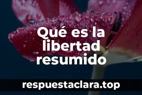 Que es el duplo de un numero ejemplos 8 Qué es la libertad resumido