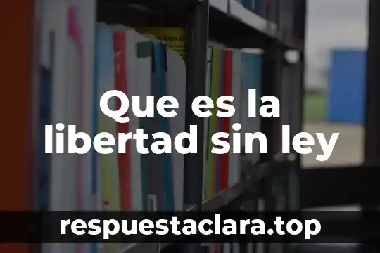 Que es el valor de la libertad para honores 6 Que es la libertad sin ley