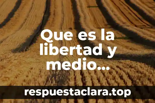 Que es la libertad y medio ambiente