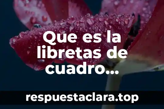 Que es la libretas de cuadro promedio