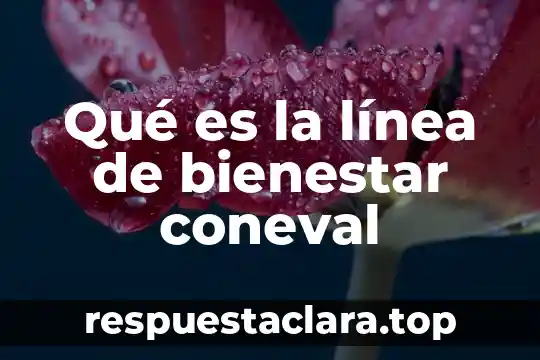 Qué es la línea de bienestar coneval