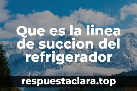 Que es linea de shenton 4 Que es la linea de succion del refrigerador