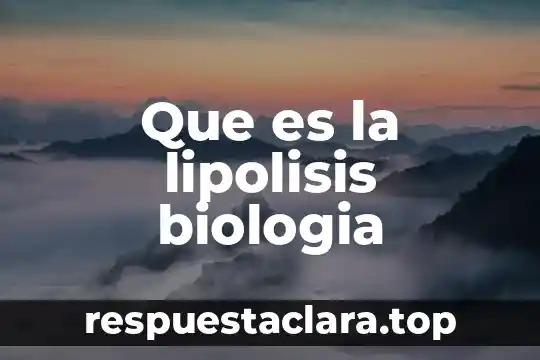 Que es la lipolisis biologia