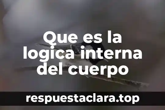 Que es la logica interna del cuerpo