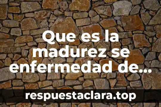 Que es familias ciberseguras 8 Que es la madurez se enfermedad de transmision sexual