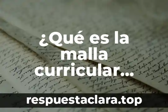 ¿Qué es la malla curricular según autores?