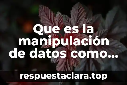Que es la manipulación de datos como delitos informáticos