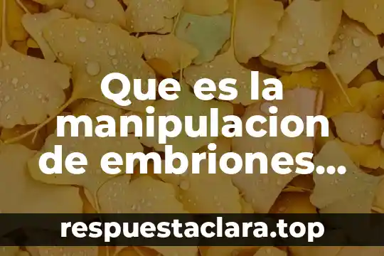 Que es la manipulacion de embriones humanos