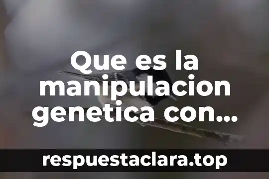 Que es la manipulacion genetica con los alimentos