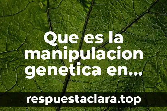Que es la manipulacion genetica en etica