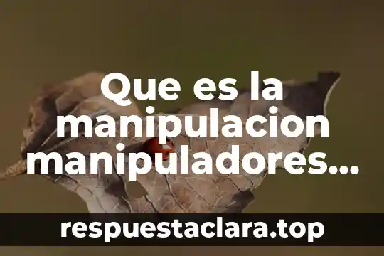Que es la manipulacion manipuladores conocerlos y vencerlos you tube
