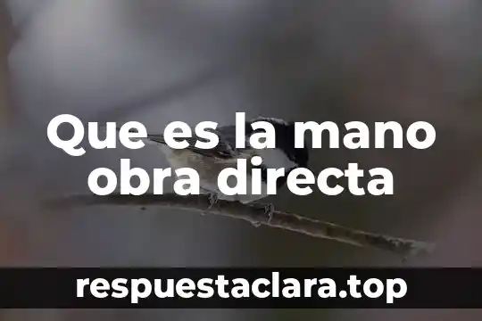 Que es la mano obra directa