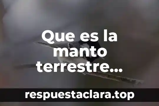 Que es la manto terrestre resumen