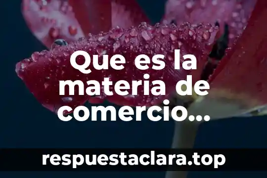 Que es la materia de comercio exterior