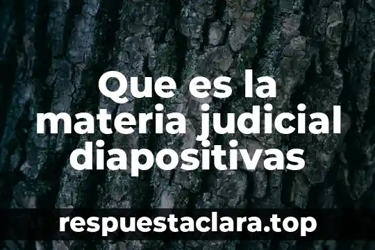 Que es la materia judicial diapositivas