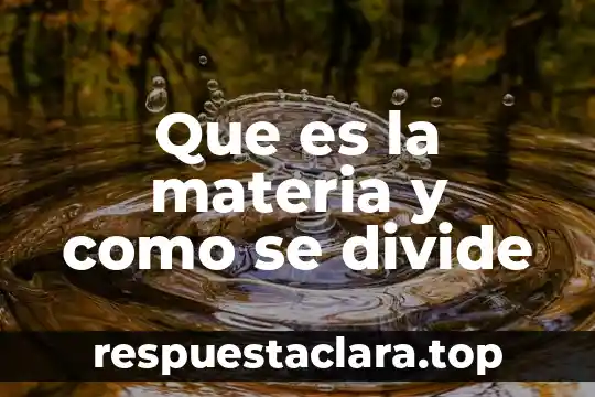 Qué es subsidio en materia de comercio exterior 3 Que es la materia y como se divide