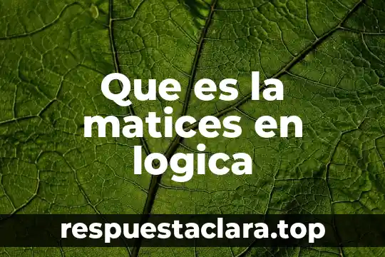 Que es la matices en logica