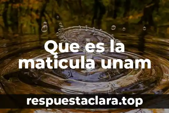 Que es la maticula unam