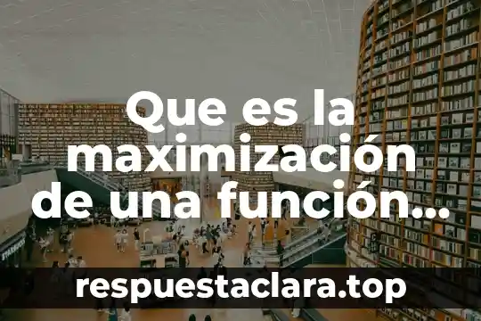 Que es significado objetivo 3 Que es la maximización de una función objetivo
