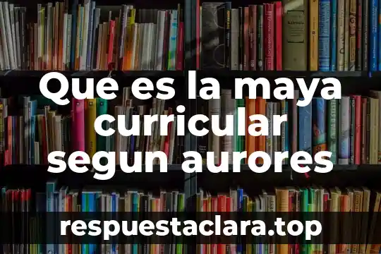 Que es concepto curricular 6 Que es la maya curricular segun aurores