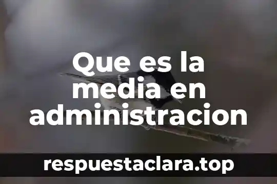 Que es la media en administracion