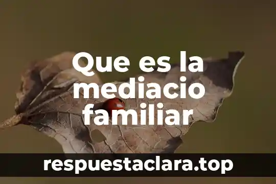 Que es la mediacio familiar