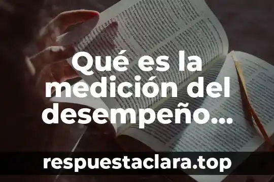 Qué es la medición del desempeño según autores