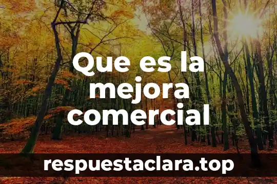 Que es exportacion comercial 3 Que es la mejora comercial