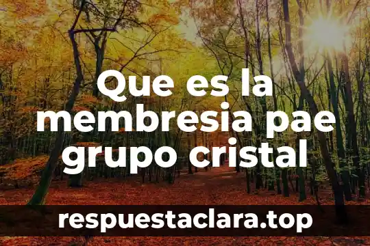 Que es la recoleccion de un dato en pae 3 Que es la membresia pae grupo cristal