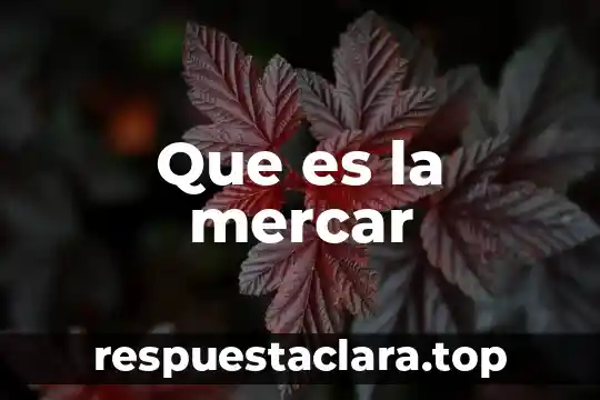 En una investigación qué es la hipótesis 3 Que es la mercar
