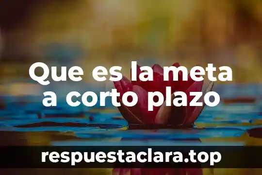 Que es la meta a corto plazo