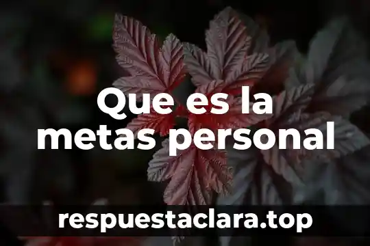 Que es la metas personal