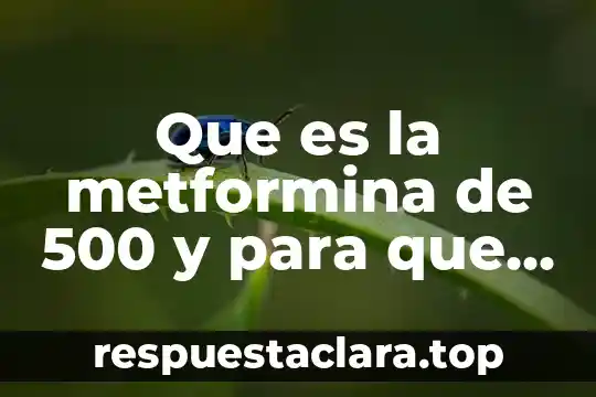 Naproxeno de 500 para que es bueno 5 Que es la metformina de 500 y para que sirve