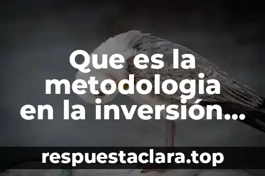 Que es la metodologia en la inversión extranjera directa