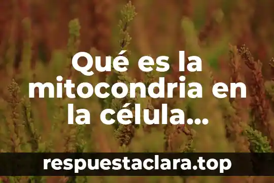 Qué es la mitocondria en la célula vegetal
