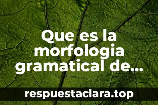 Que es el nie número de identidad de extranjero 7 Que es la morfologia gramatical de numero
