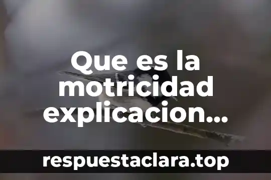Que es la motricidad explicacion para niños